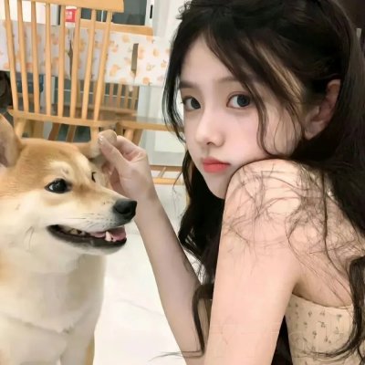 关于灰鸽子的歌